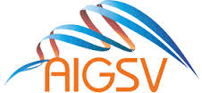logo-aigsv