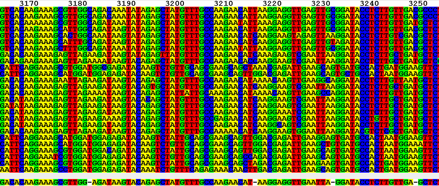 4peaks sequence alignment software